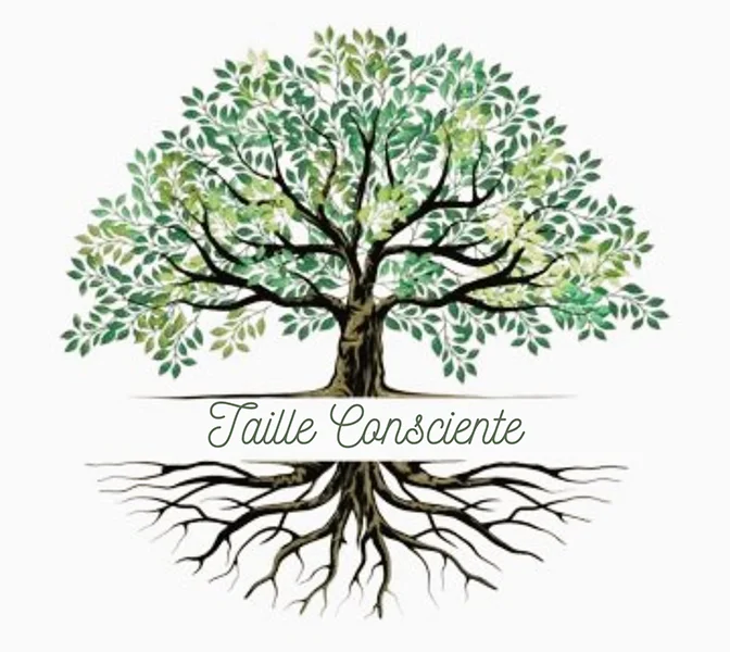 Taille Consciente - Un arbre aux racines solides